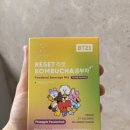 에브리데이즈 리셋 콤부차 구매 후기