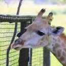 삼혁농장 이미지