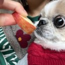 라온펜션 이미지