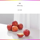 새콤달콤 | 부사 사과 4kg 구매 후기 🍎 새콤달콤 제대로 골랐어요!