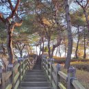 하천(금강) | 충북 옥천 가볼만한곳 부소담악 여행 후기