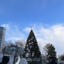 11545-09-60-27 | 삿포로 가볼만한곳 삿포로 TV타워 전망대 아기랑 다녀온 후기