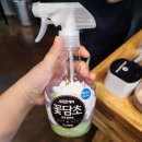 영아네 식당 이미지