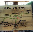 12월 7일-낙동정맥 트레일 산행(분천역-승부역)-10.5km 이미지