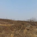 녹지공인중개사사무소 이미지