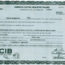 블루마운틴 스크린 이미지