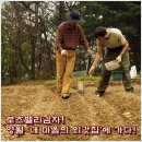 내마음의외갓집 이미지