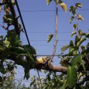 현명농장 이미지