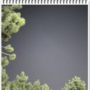 반성큰마트 이미지