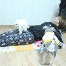 정우테크 이미지