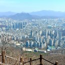 산본로451 이미지