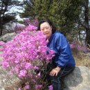 외포터미널 이미지