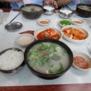 병천주유소 이미지