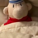 제주코아호텔 이미지