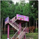 힐링우드2 이미지