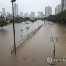 온천천일대6 이미지