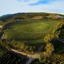 동산농장 이미지