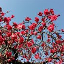 학교관사앞 이미지