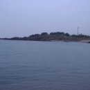 정자리
