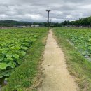 연못들6 이미지