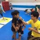 챔프태권도장 이미지