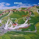 푸른솔목장 이미지