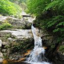 기석1호 이미지