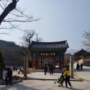 금강전광 | 산사 여행(5) : 양산 통도사와 매화