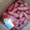 동림농장 이미지