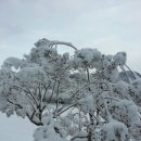 달산 이미지