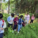 원암어린이집 이미지