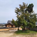 향나무쉼터 이미지