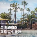 현대카드 휘트니스센타 | 그랜드하얏트 제주 클럽룸 엄마랑 호캉스 내돈내산 예약 후기 객실 , 클럽라운지뷔페