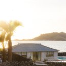 팀그로우 이미지