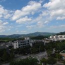 예술관길 이미지