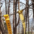 군북로 이미지