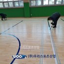 정재초등학교 이미지