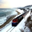 동해 해안 기찻길 열차와 설경 이미지