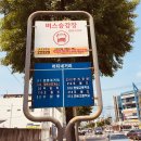머티네거리 이미지