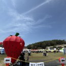 진서중 고등학교 | [진주 여행] 2026 진주 딸기축제 방문후기 딸기수제청 만들기