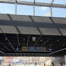 봄봄봄 | [일기] 2026년 3월 : 새로운 취미, 독서의 계절