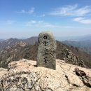 해본 건강 | 심장질환검사 직접 해본 솔직한 후기와 관리법