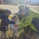 봉오초병설유치원 이미지