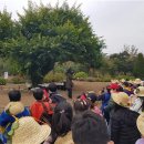 순천성동초등학교 이미지