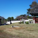 오동선(요골) 이미지