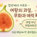 해남식자재유통