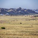 돌산가축 이미지