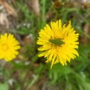 순복농장 이미지