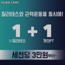 아나토미 스트랭스 이미지