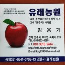 아오리